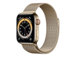 Apple Watch Series 6 (GPS + Cellular) - 40 mm - gold stainless steel - smart watch with milanese loop - stainless steel mesh - gold - wrist size: 130-180 mm - 32 GB - Wi-Fi, Bluetooth - 4G - 39.7 g
