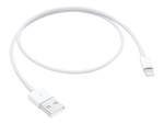 Apple - Lightning cable - Lightning male to USB male - 50 cm - for Apple iPad/iPhone/iPod (Lightning)
