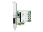 HPE Smart Array E208e-p SR Gen10 - storage controller (RAID) - SATA 6Gb/s / SAS 12Gb/s - PCIe 3.0 x8