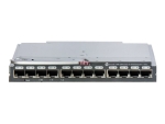 Brocade 16Gb/16 SAN Switch for HP BladeSystem c-Class - switch - 16 ports - Managed - plug-in module