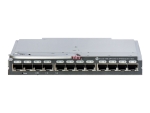 Brocade 16Gb/28 SAN Switch for HP BladeSystem c-Class - switch - 28 ports - Managed - plug-in module