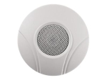 Hikvision DS-2FP2020 - microphone