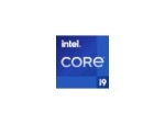 Intel Core i9 11900K processor - OEM