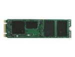 Intel Solid-State Drive DC S3110 Series - SSD - 256 GB - SATA 6Gb/s
