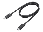 Lenovo - Thunderbolt cable - 24 pin USB-C to 24 pin USB-C - 70 cm