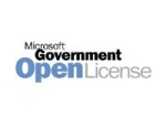 Microsoft Office Professional Enterprise Edition - licence & software assurance - 1 PC