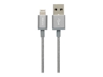 PNY Charge & Sync - Lightning cable - 1.2 m