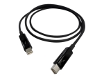 QNAP - Thunderbolt cable - Mini DisplayPort to Mini DisplayPort - 50 cm