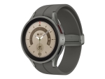 Samsung Galaxy Watch5 Pro - 45 mm - titanium grey - smart watch with sport band - display 1.4" - 16 GB - LTE, NFC, Wi-Fi, Bluetooth - 4G - 46.5 g
