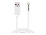 Sandberg Lightning cable - Lightning / USB - 1 m