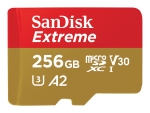 SanDisk Extreme - flash memory card - 256 GB - microSDXC UHS-I